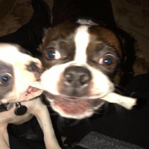 Meet your Posher, Shannon